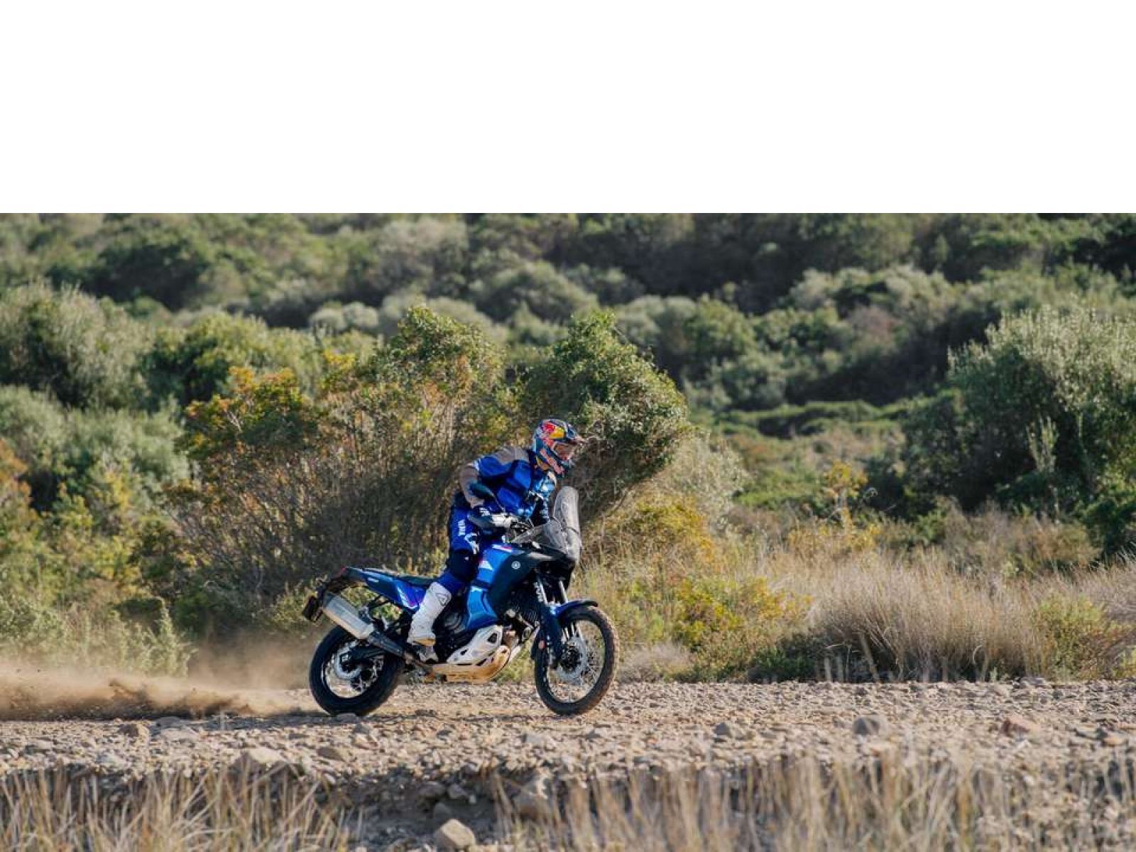 Мотоцикл YAMAHA Tenere 700 World Rally (Trophy Blue) 2023